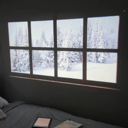 DreamVerse™ Projector